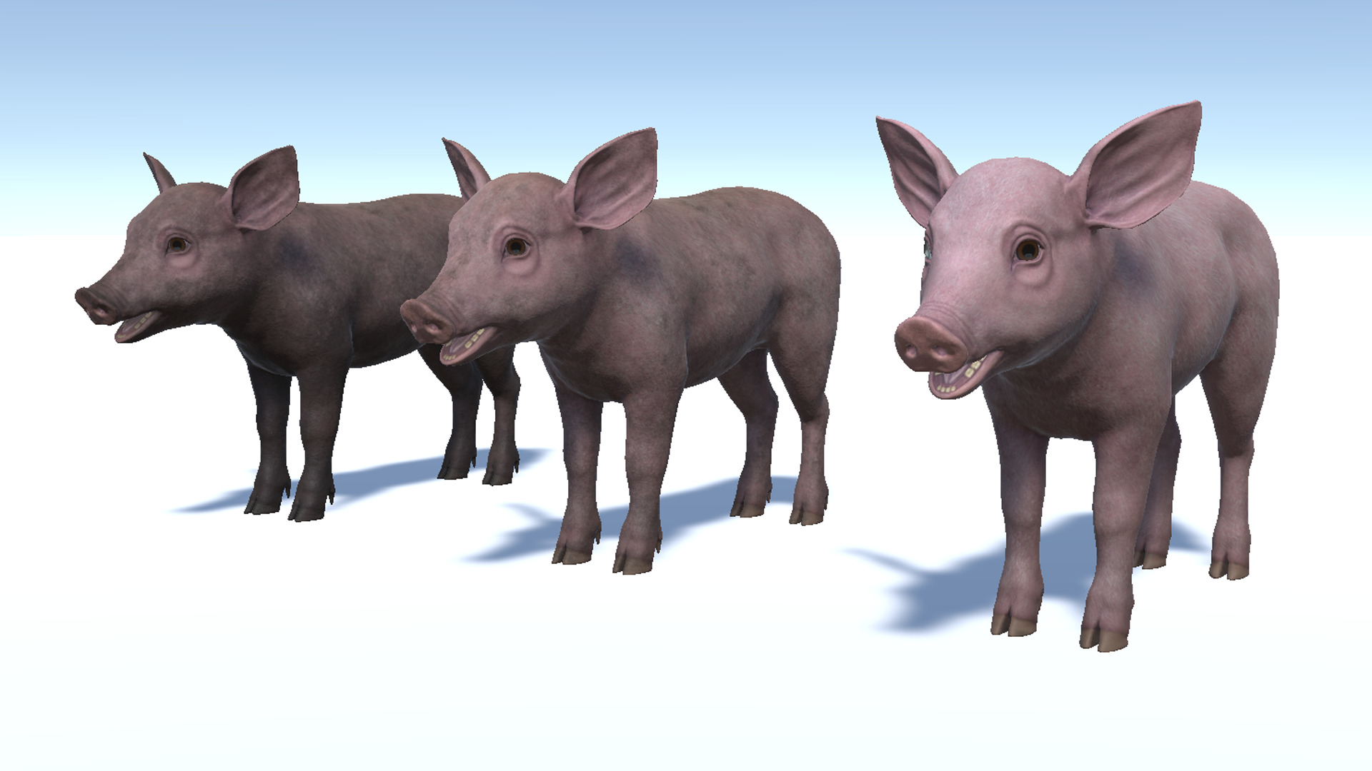 Piglet Low-poly 3D model_7