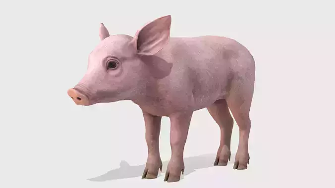 Piglet Low-poly 3D model
