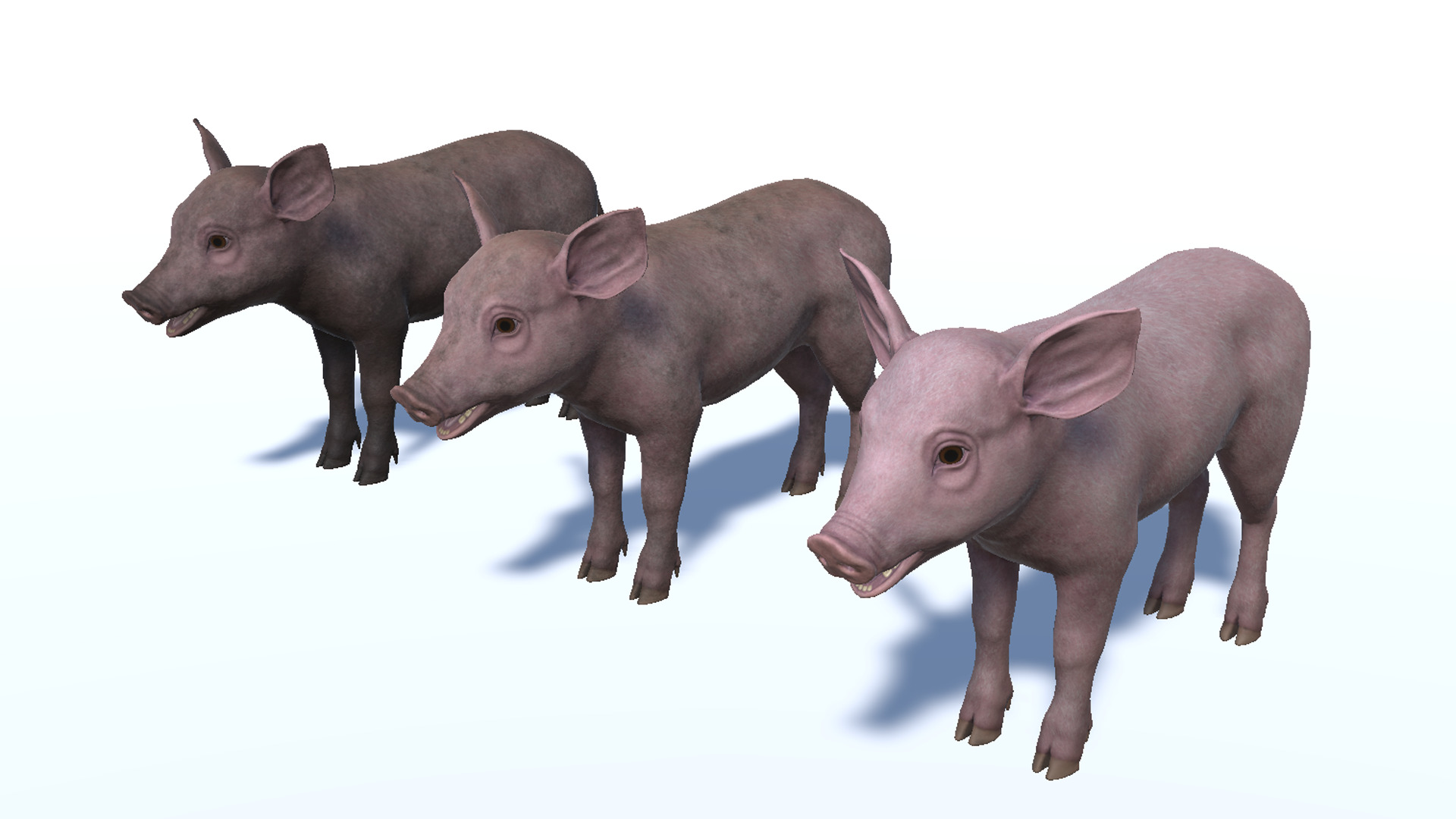 Piglet Low-poly 3D model_10