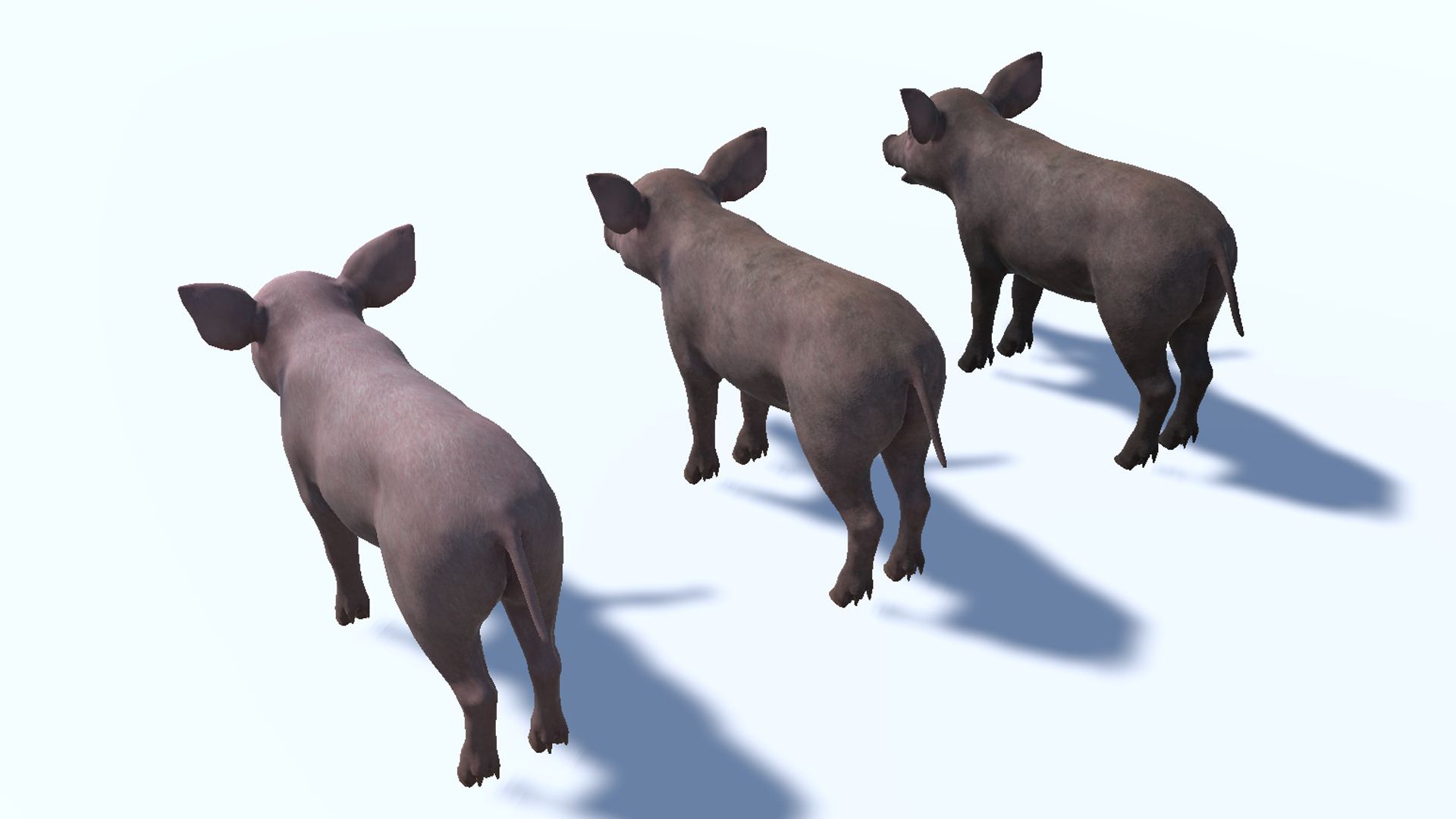 Piglet Low-poly 3D model_12