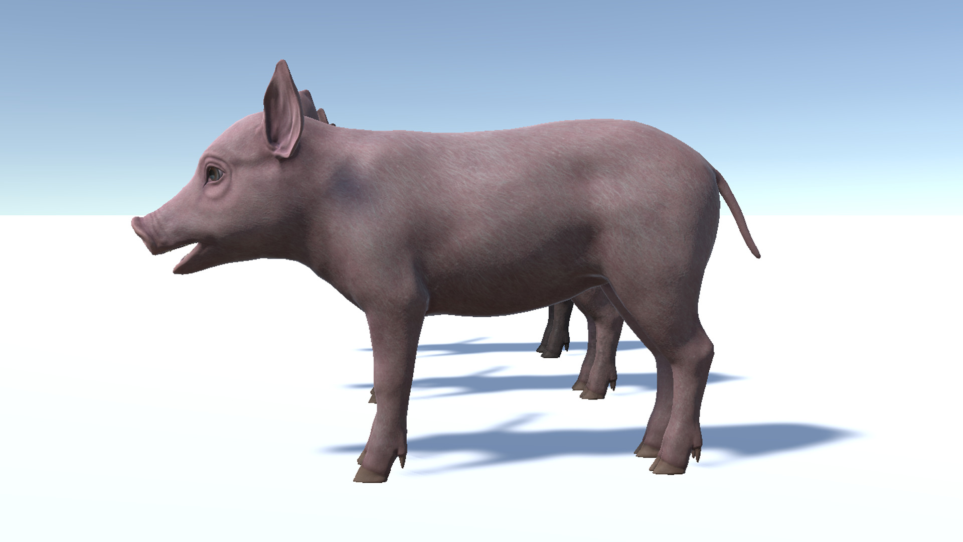 Piglet Low-poly 3D model_11