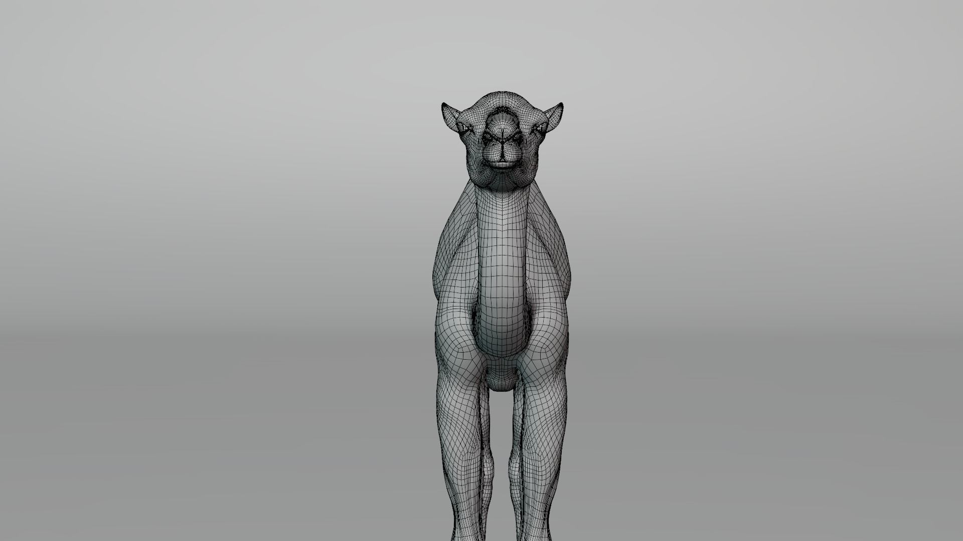 Camel Baby Fur 3D model_13