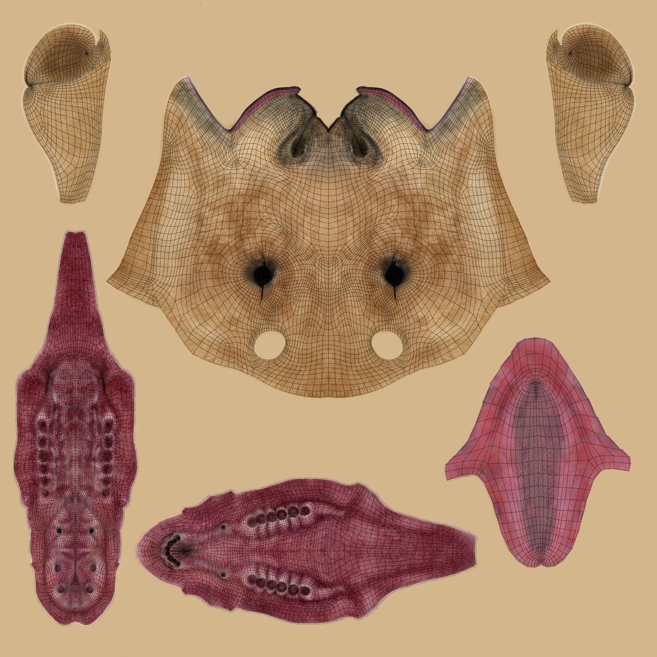 Camel Baby Fur 3D model_10