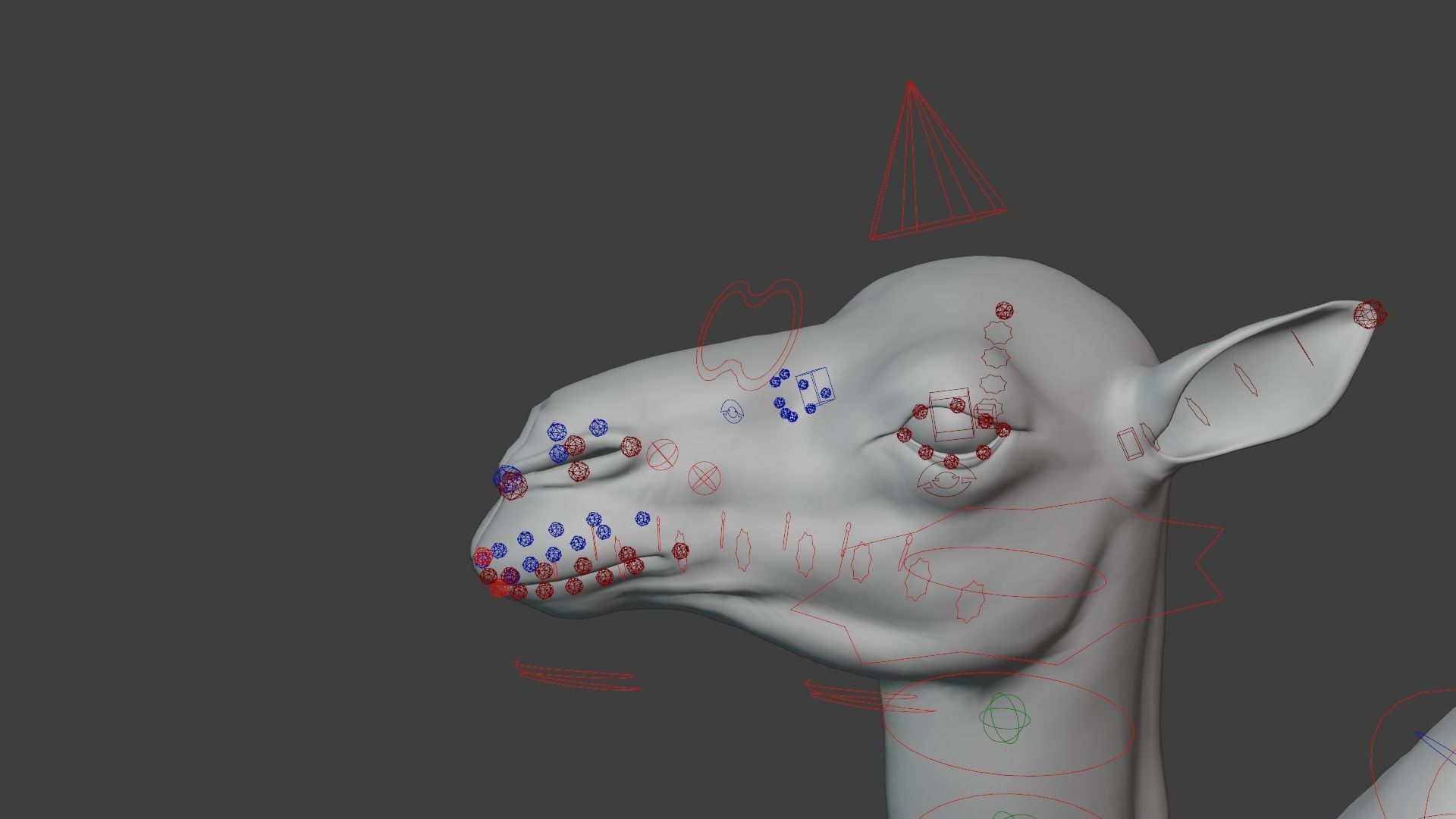 Camel Baby Animated  3D model_13