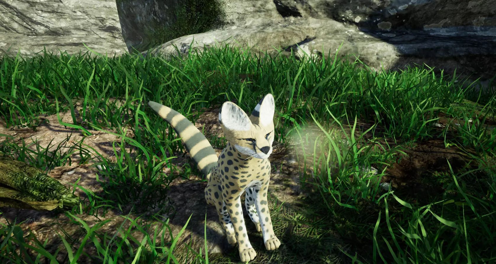 Serval Cat Game Ready Model Unreal Engine  3D model_0