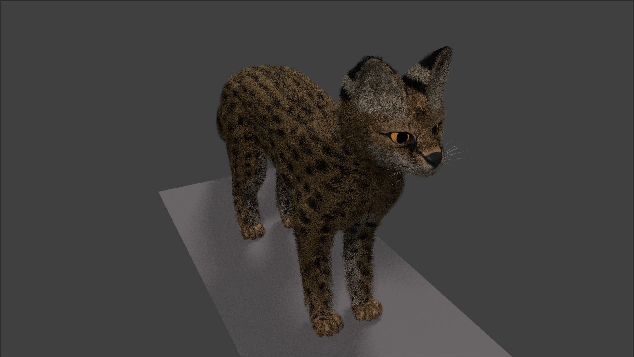 Serval Cat Game Ready Model Unreal Engine  3D model_20