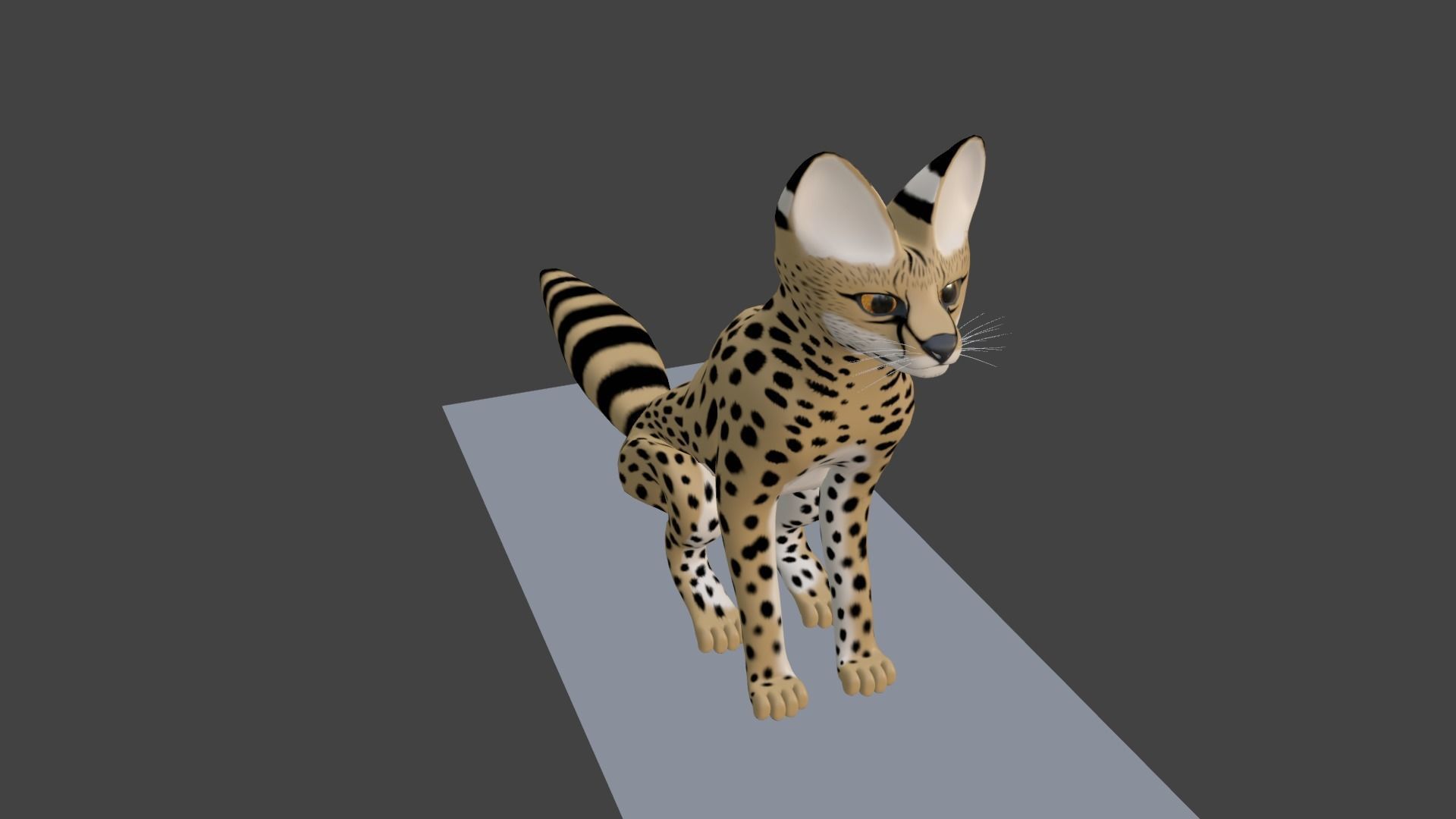 Serval Cat Game Ready Model Unreal Engine  3D model_18