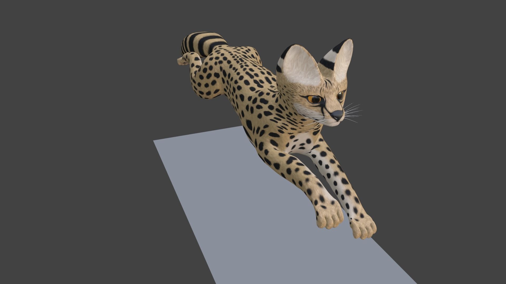 Serval Cat Game Ready Model Unreal Engine  3D model_12