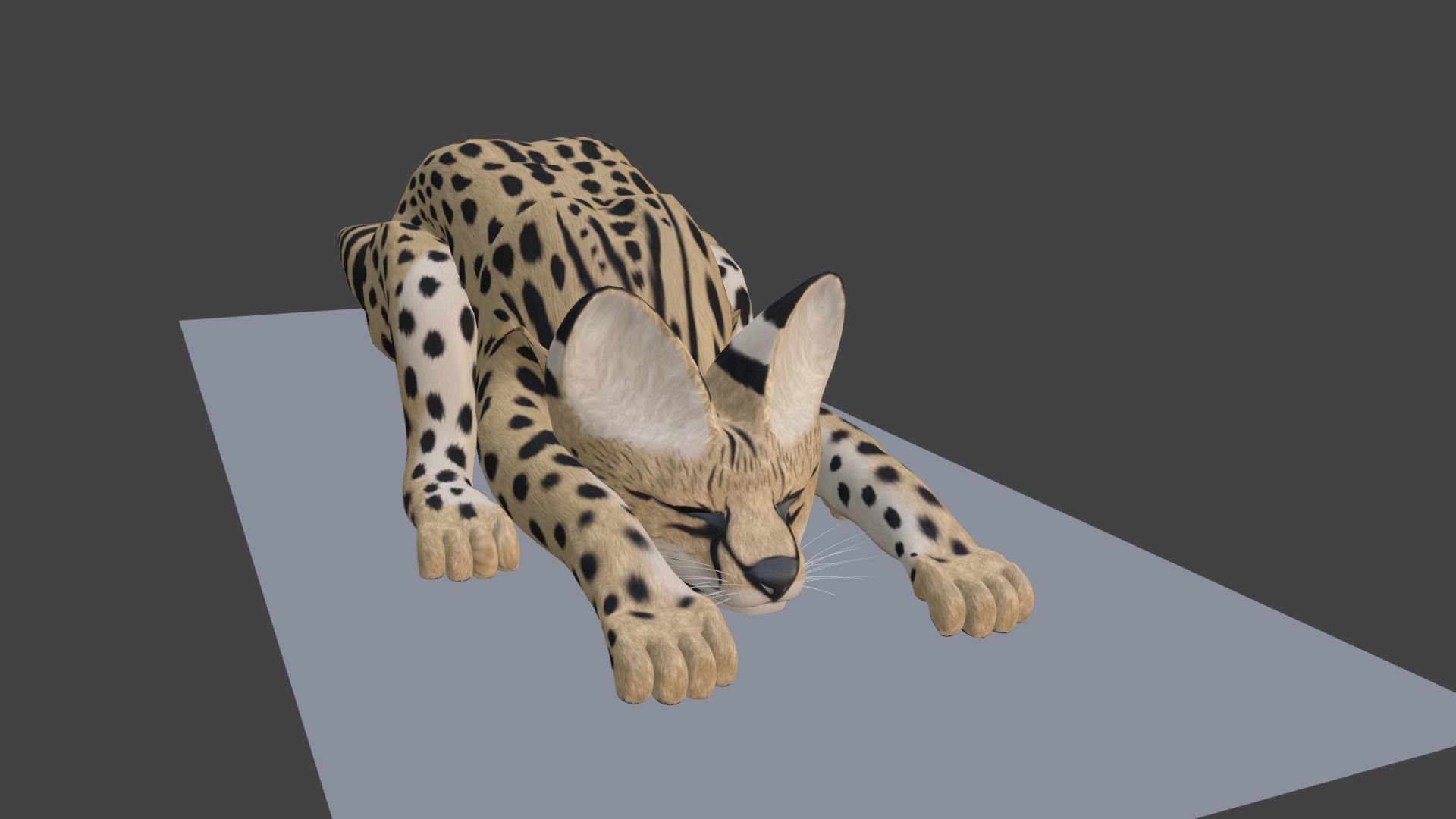 Serval Cat Game Ready Model Unreal Engine  3D model_15