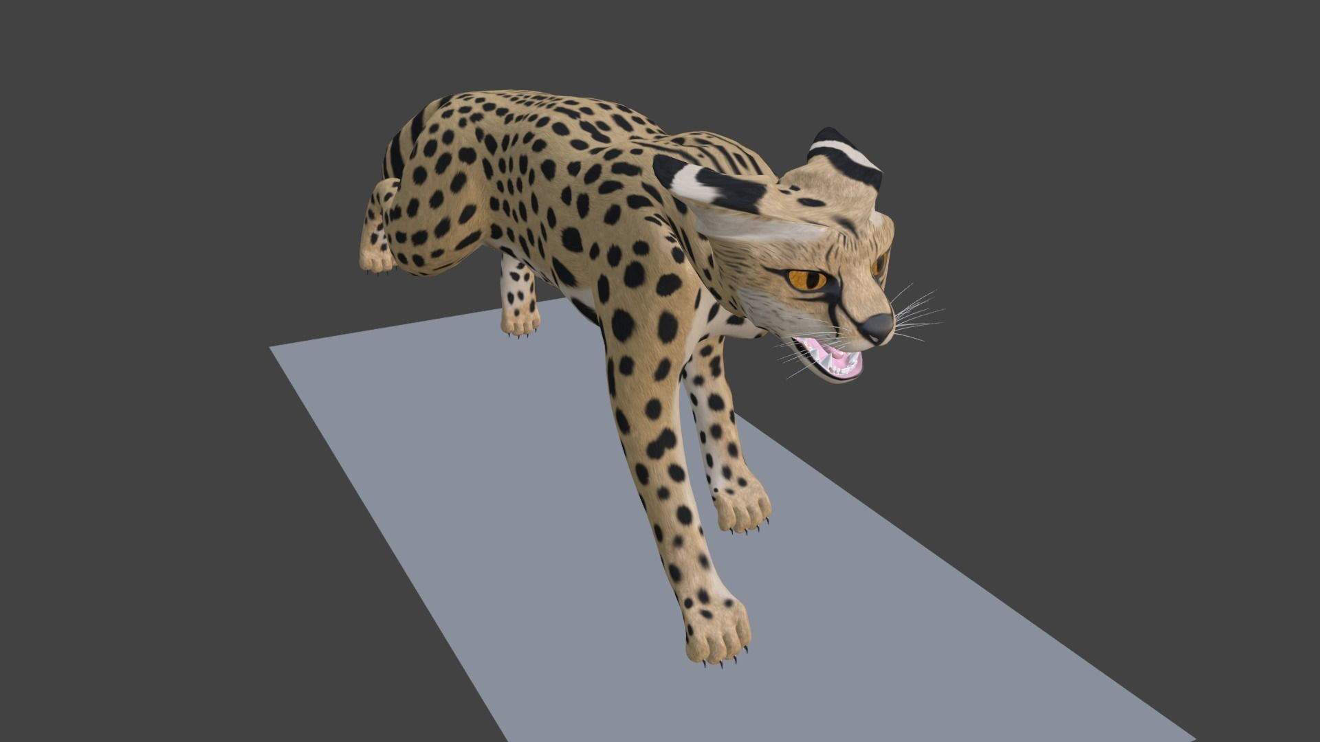 Serval Cat Game Ready Model Unreal Engine  3D model_14