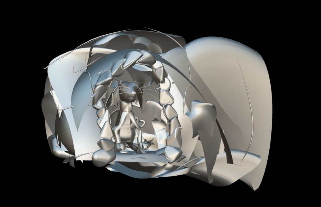 Dragon Gravity Sketch 3D model_4