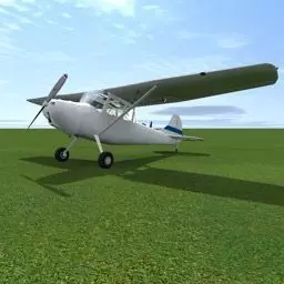 Cessna L19 Free 3D model
