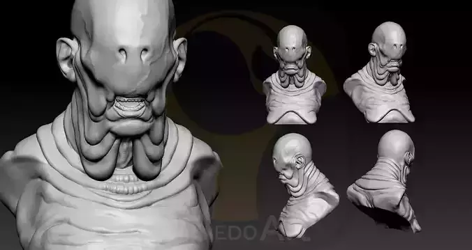 Pale Man Portrait  3D print model