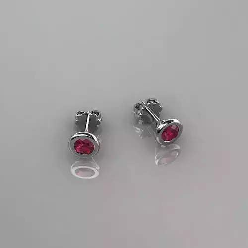 Earrings 05