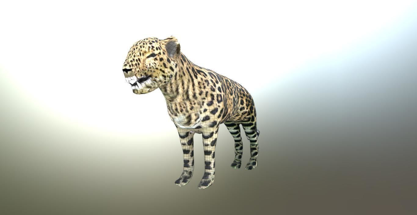 LEOPARD LOWPOLY jaguar Low-poly 3D model_12