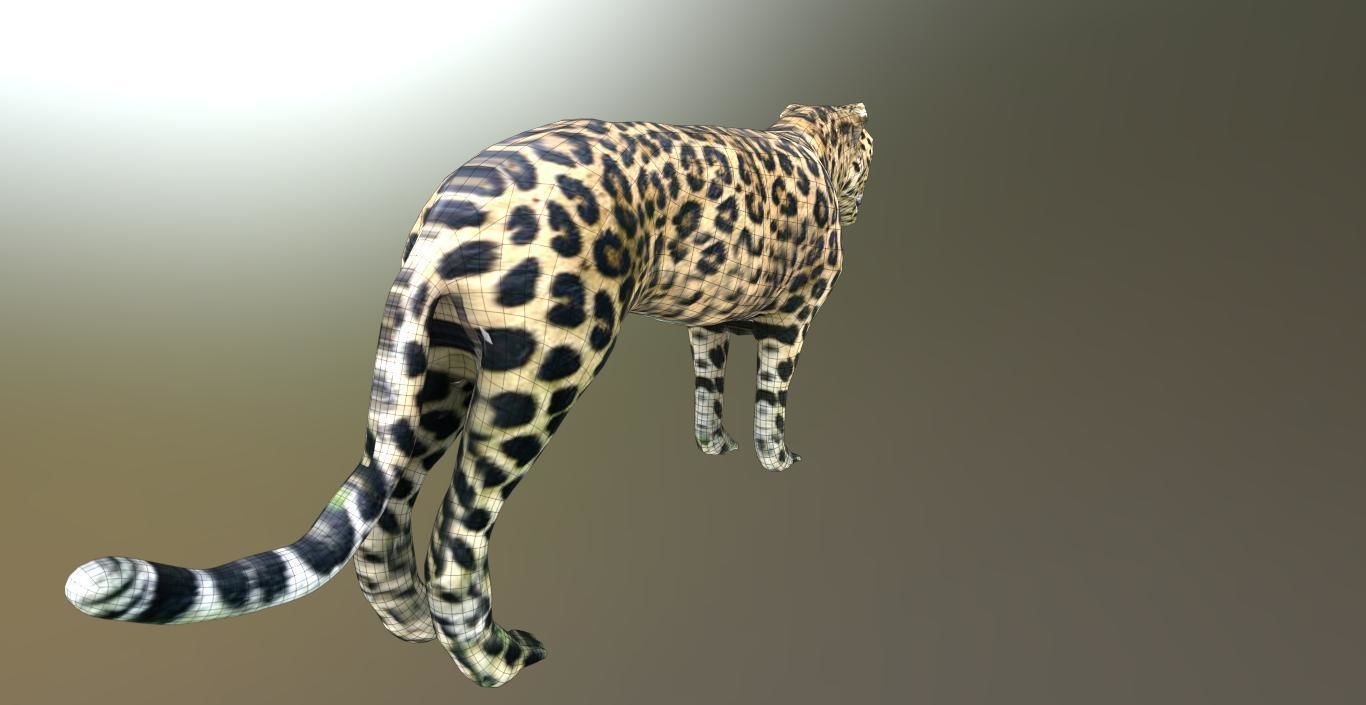 LEOPARD LOWPOLY jaguar Low-poly 3D model_7