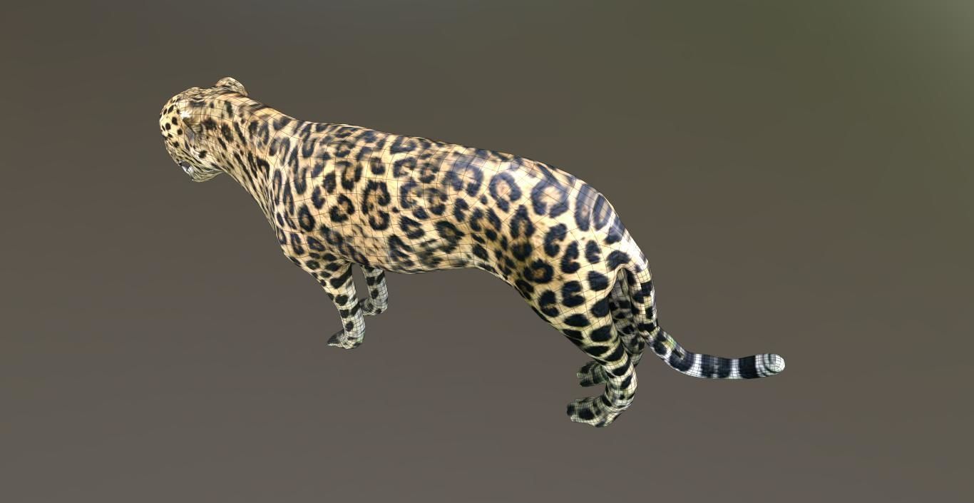 LEOPARD LOWPOLY jaguar Low-poly 3D model_5