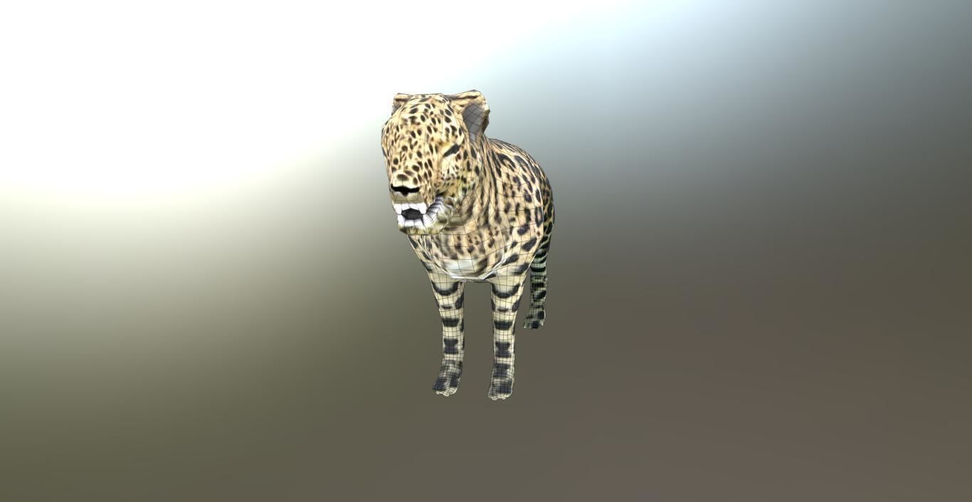 LEOPARD LOWPOLY jaguar Low-poly 3D model_11