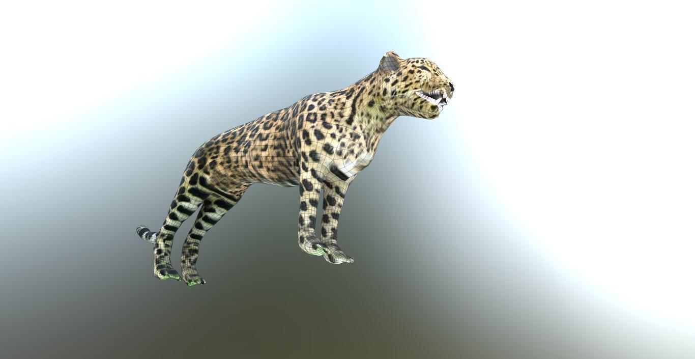 LEOPARD LOWPOLY jaguar Low-poly 3D model_8