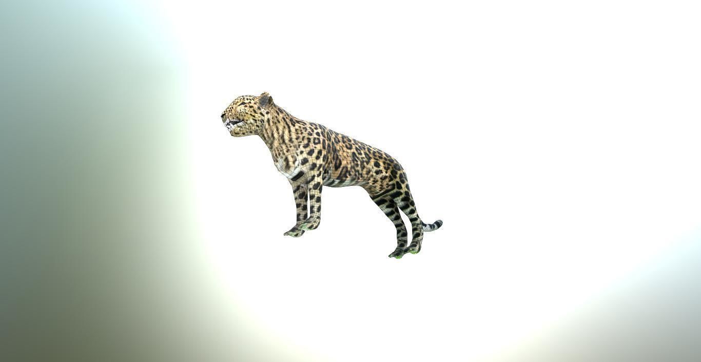 LEOPARD LOWPOLY jaguar Low-poly 3D model_4