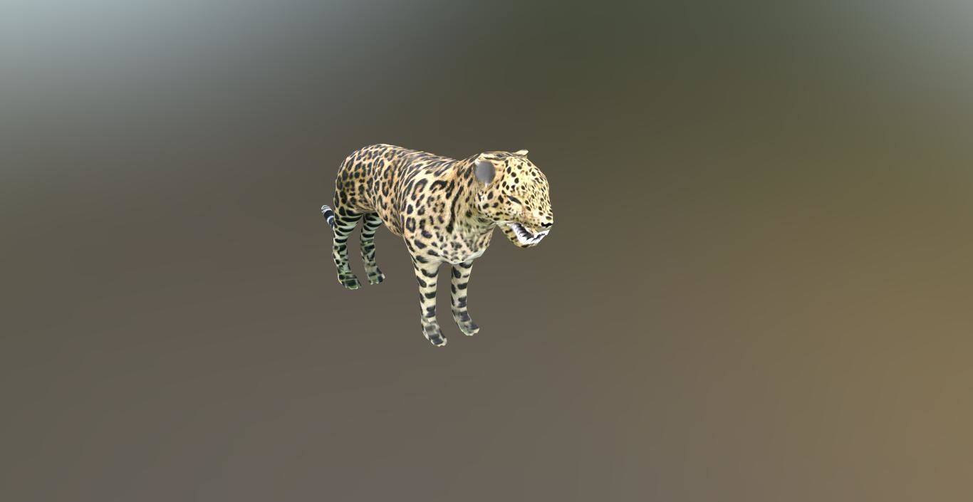 LEOPARD LOWPOLY jaguar Low-poly 3D model_15