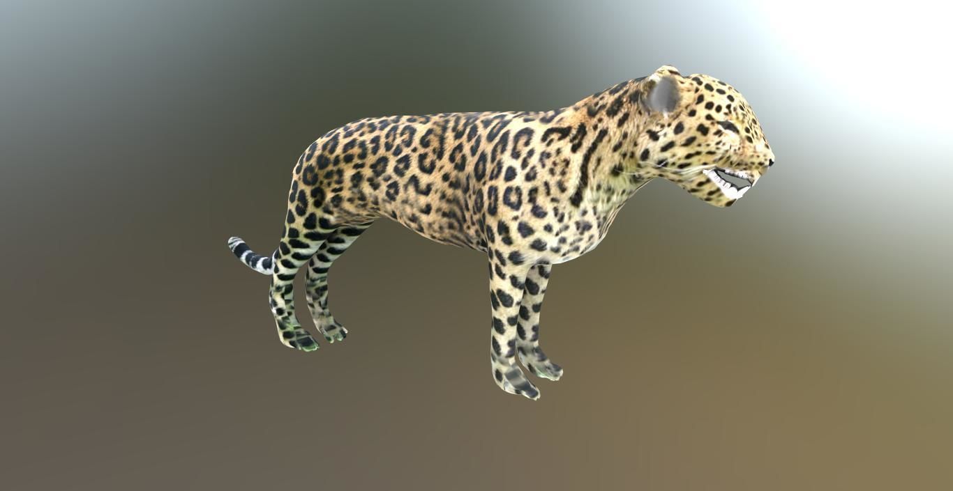 LEOPARD LOWPOLY jaguar Low-poly 3D model_9