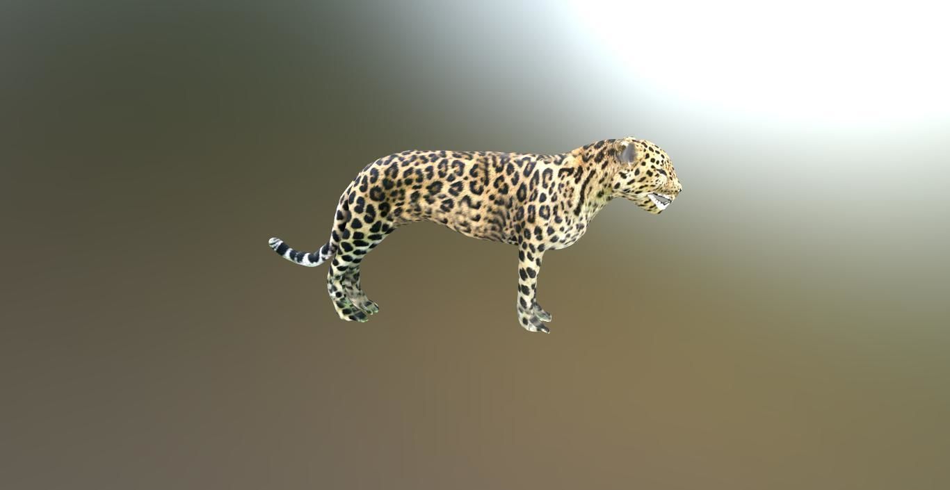 LEOPARD LOWPOLY jaguar Low-poly 3D model_14