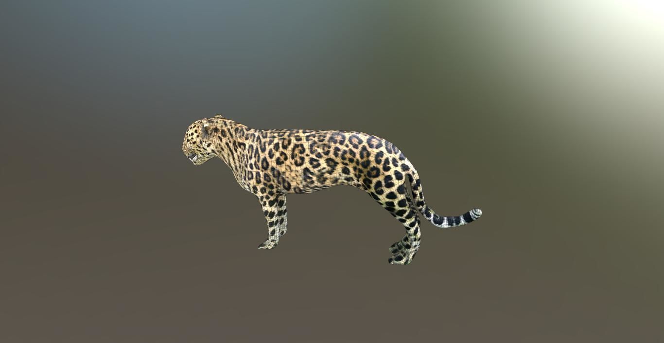 LEOPARD LOWPOLY jaguar Low-poly 3D model_13