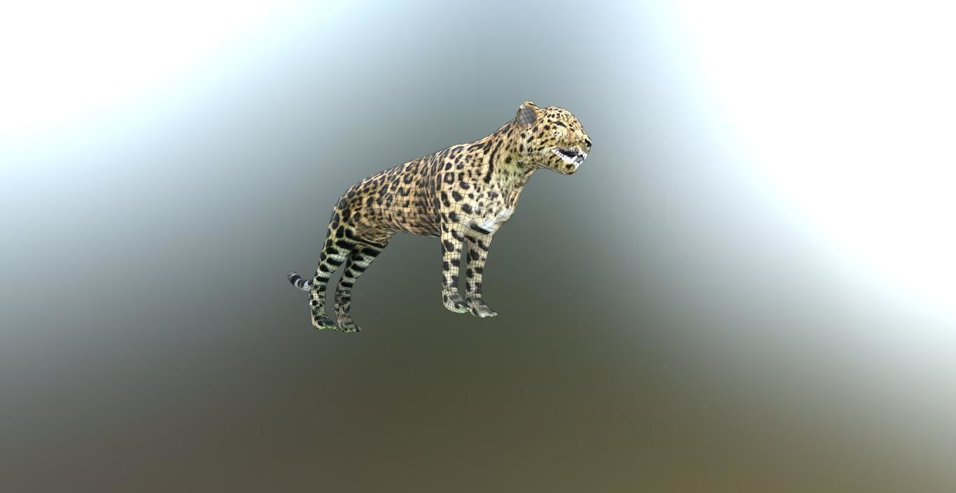 LEOPARD LOWPOLY jaguar Low-poly 3D model_3