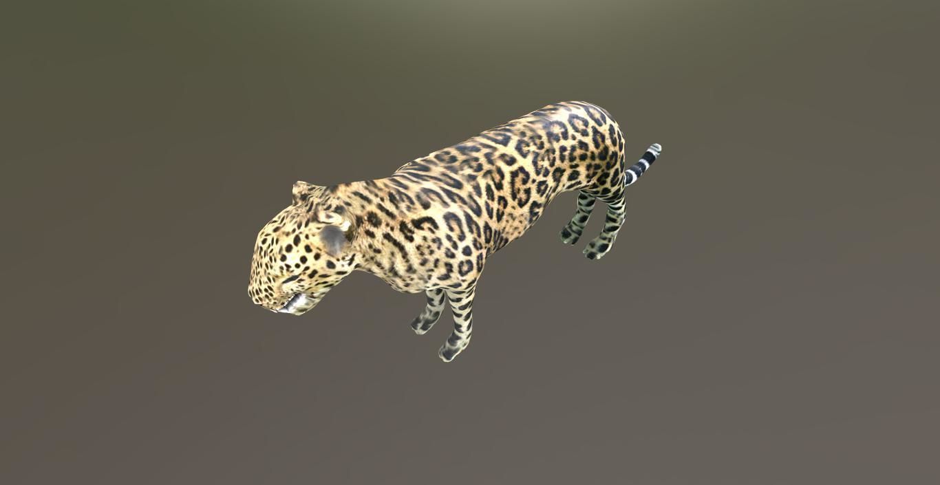 LEOPARD LOWPOLY jaguar Low-poly 3D model_1