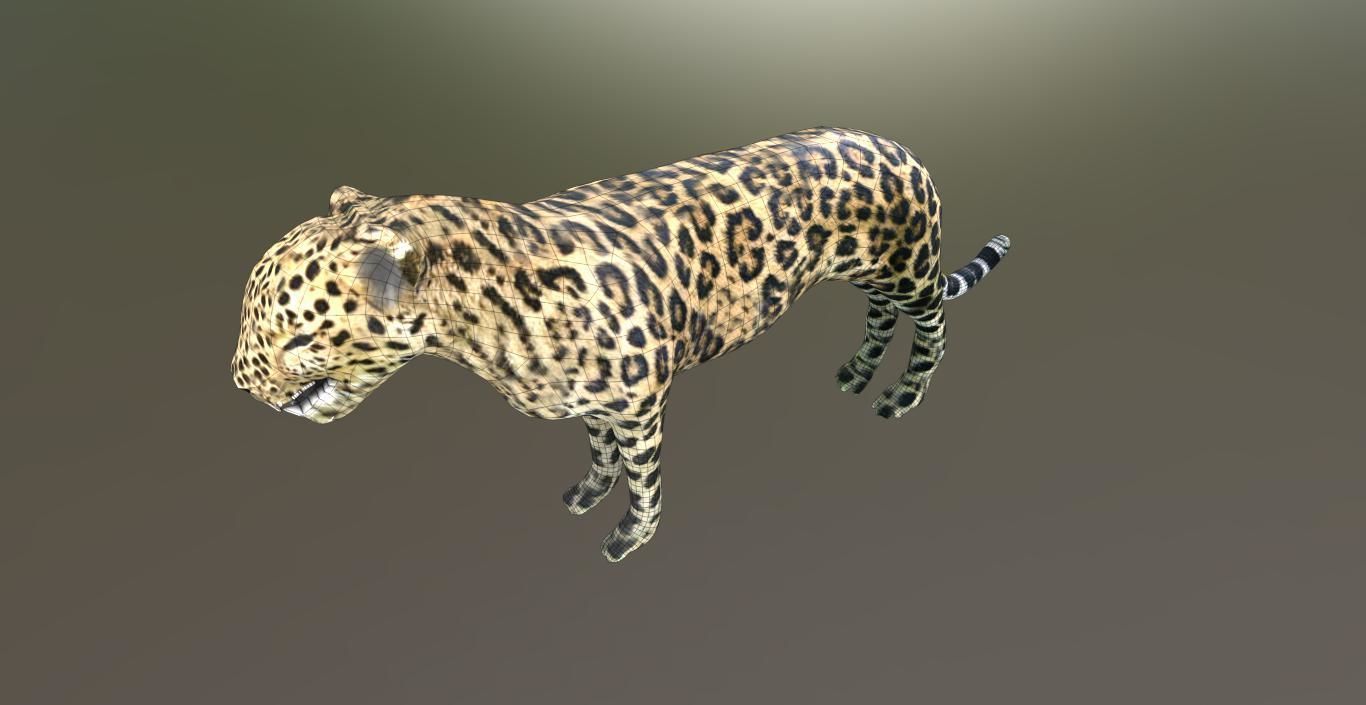 LEOPARD LOWPOLY jaguar Low-poly 3D model_10