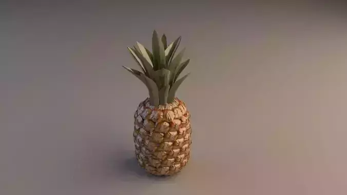 pineapple 3D print model