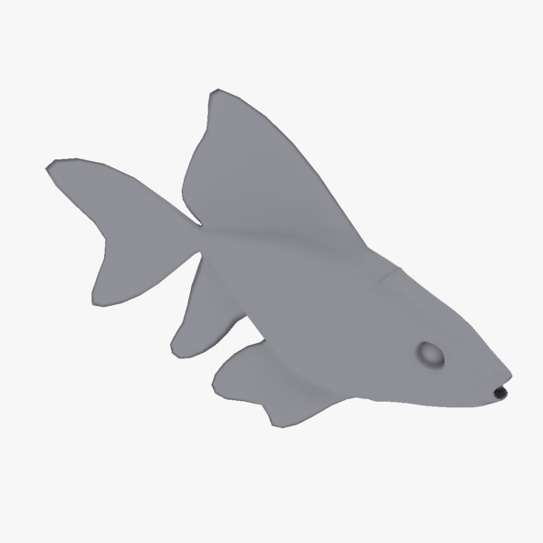 Golden Fish Free low-poly 3D model_8