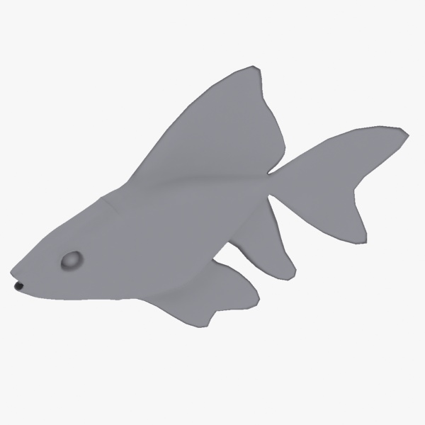 Golden Fish Free low-poly 3D model_6
