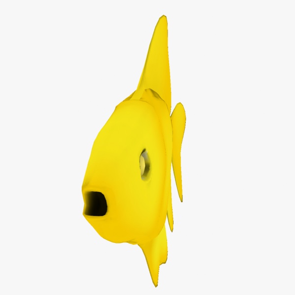 Golden Fish Free low-poly 3D model_3