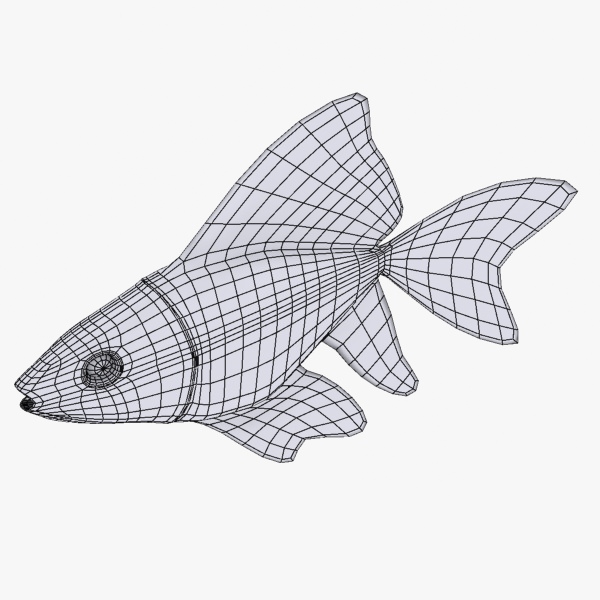 Golden Fish Free low-poly 3D model_4