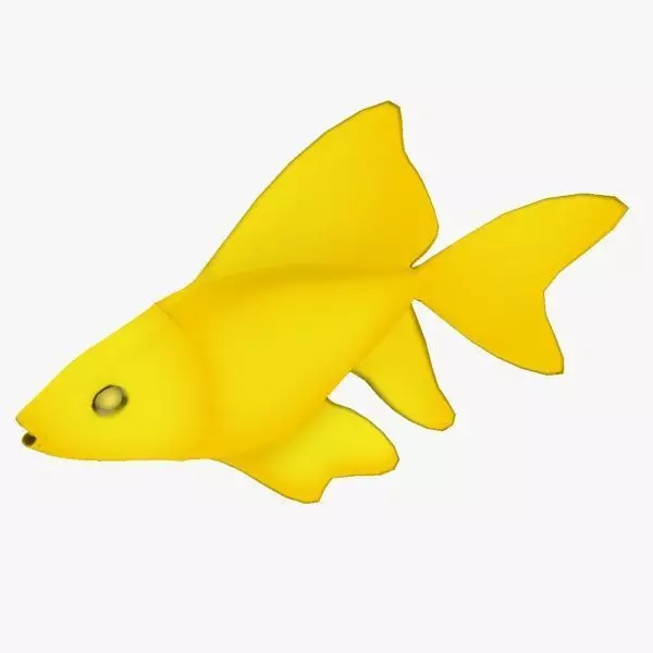 Golden Fish Free low-poly 3D model_0