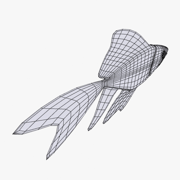 Golden Fish Free low-poly 3D model_5