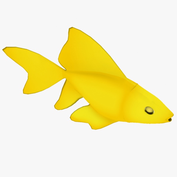 Golden Fish Free low-poly 3D model_2