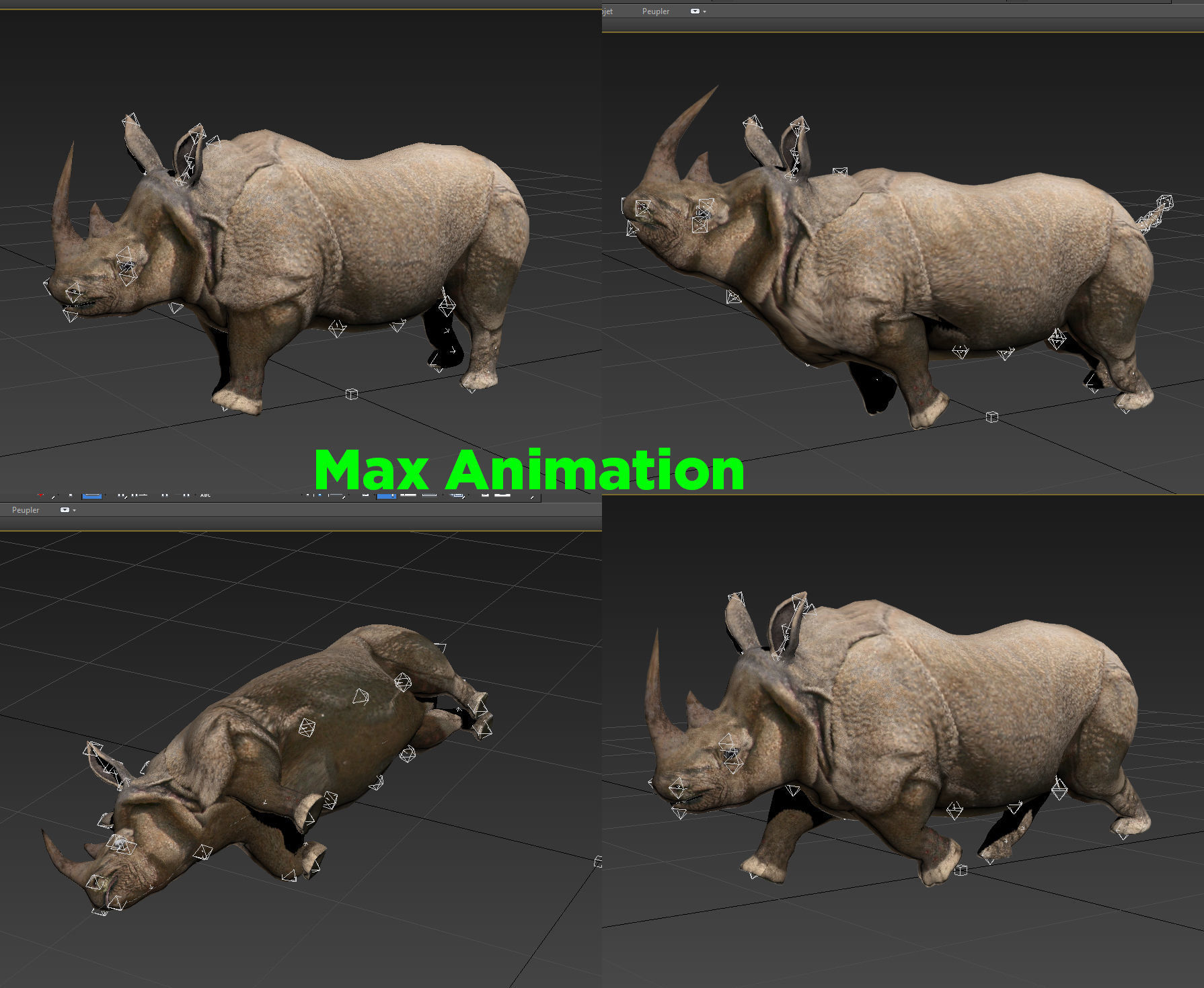 3d Rhino rigged with Animated Rhinoceros realistic Model Low-poly 3D model_14