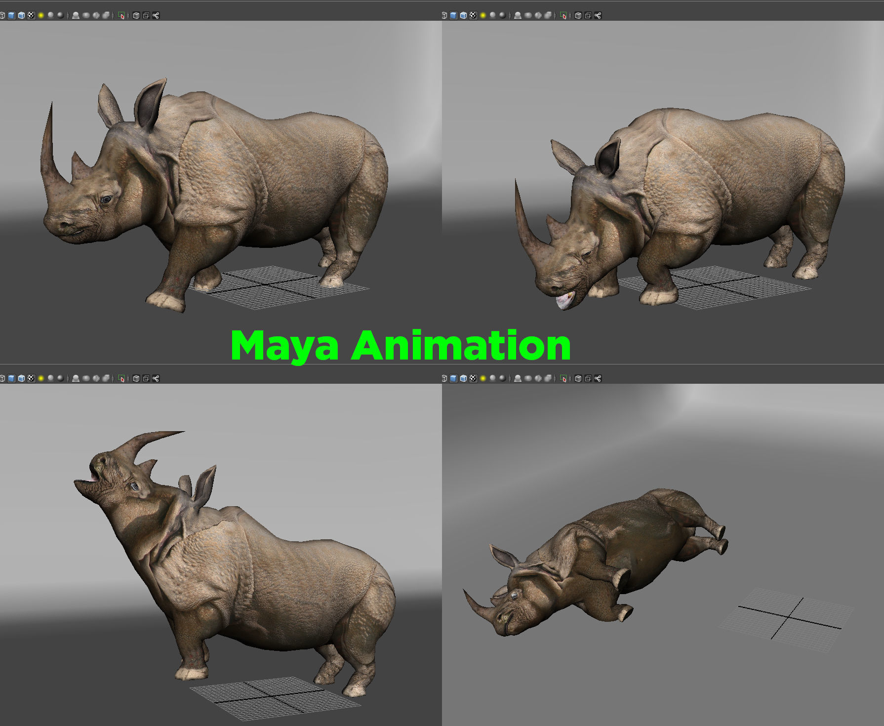 3d Rhino rigged with Animated Rhinoceros realistic Model Low-poly 3D model_15