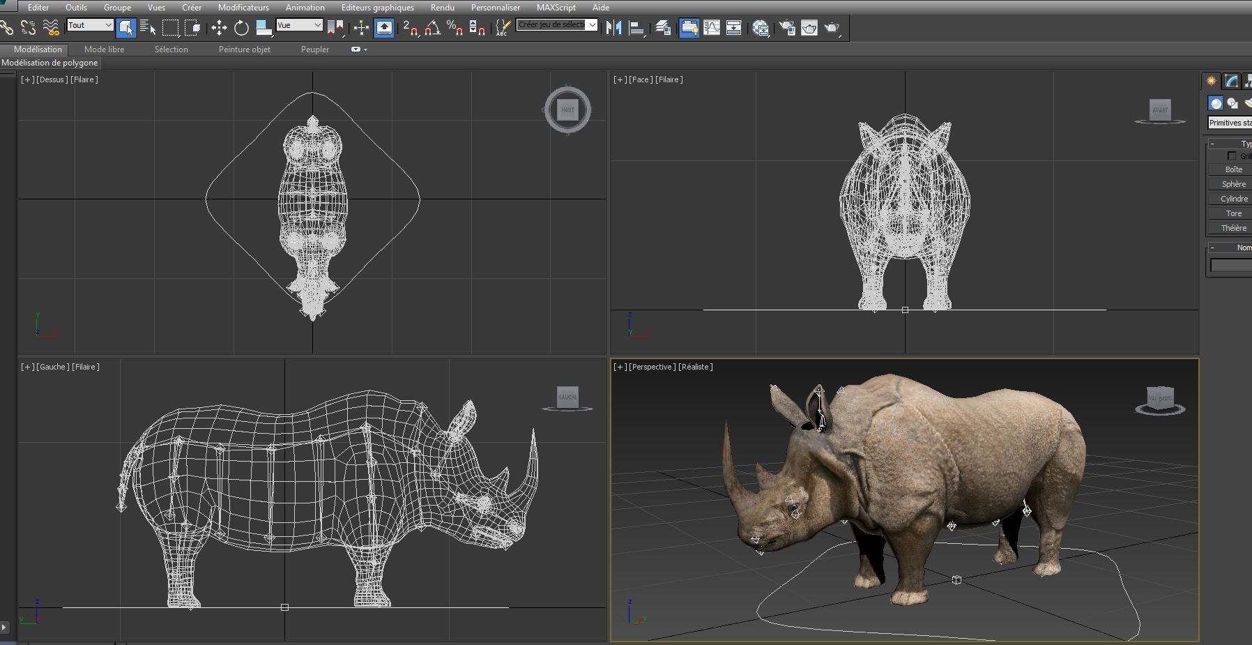 3d Rhino rigged with Animated Rhinoceros realistic Model Low-poly 3D model_20