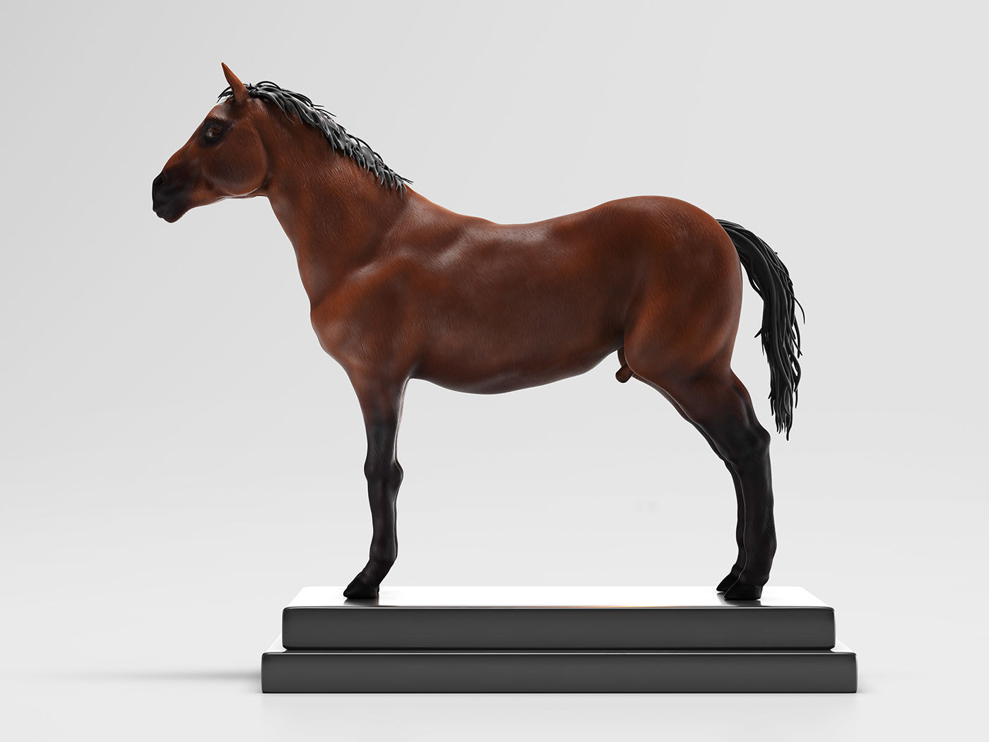 Horse Anatomy with internal organs - 4k textures 3D model_17