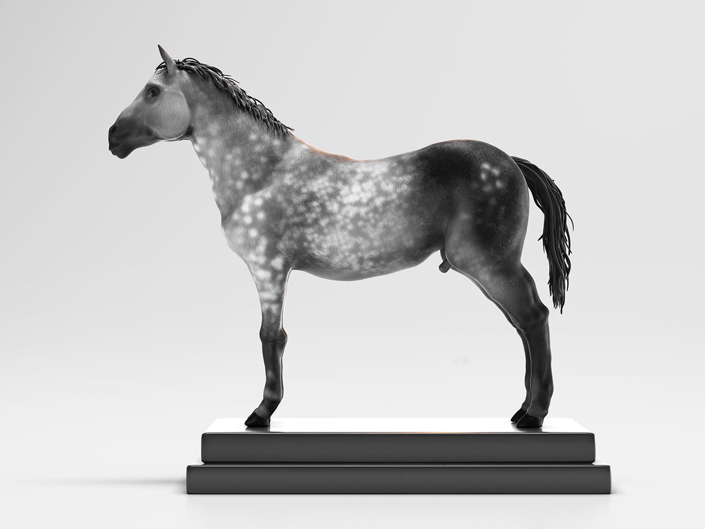 Horse Anatomy with internal organs - 4k textures 3D model_16