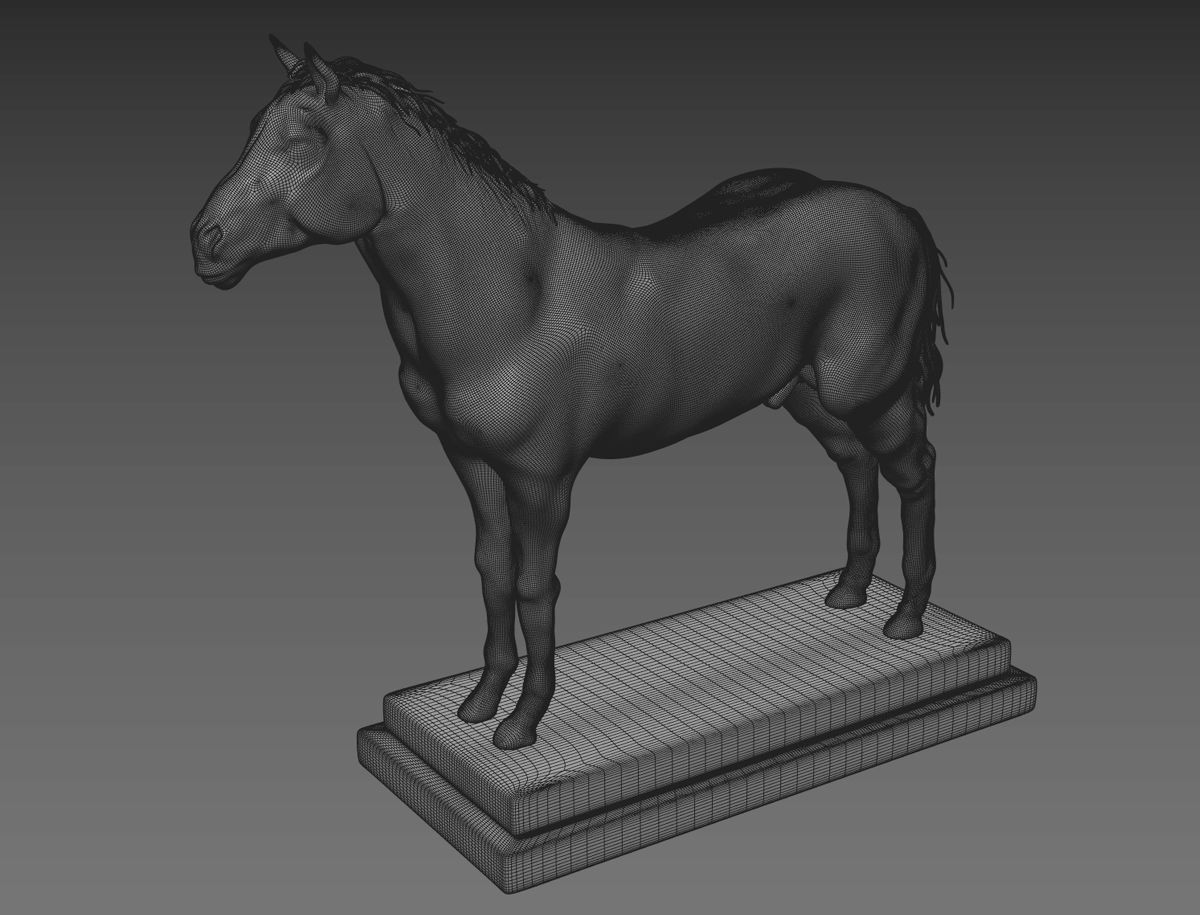 Horse Anatomy with internal organs - 4k textures 3D model_24