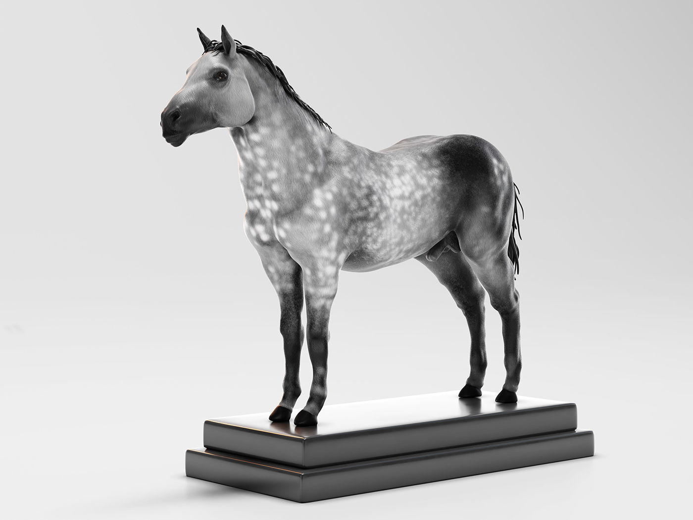 Horse Anatomy with internal organs - 4k textures 3D model_6