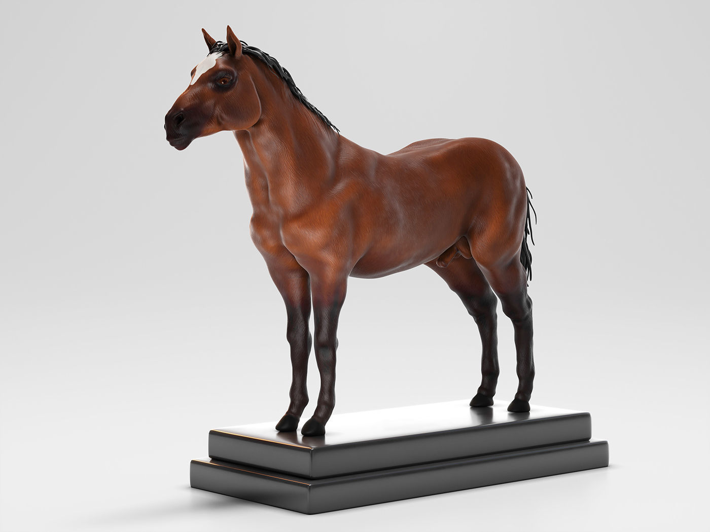 Horse Anatomy with internal organs - 4k textures 3D model_5