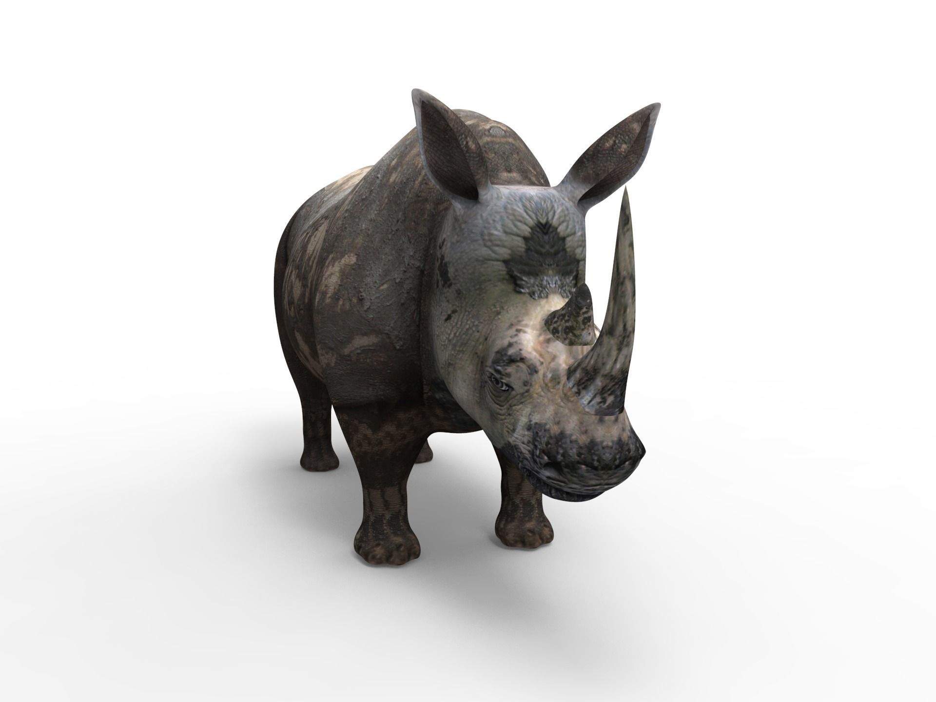 Dirty Realistic Rhino Rigged and animated 3D Model Low-poly 3D model_5