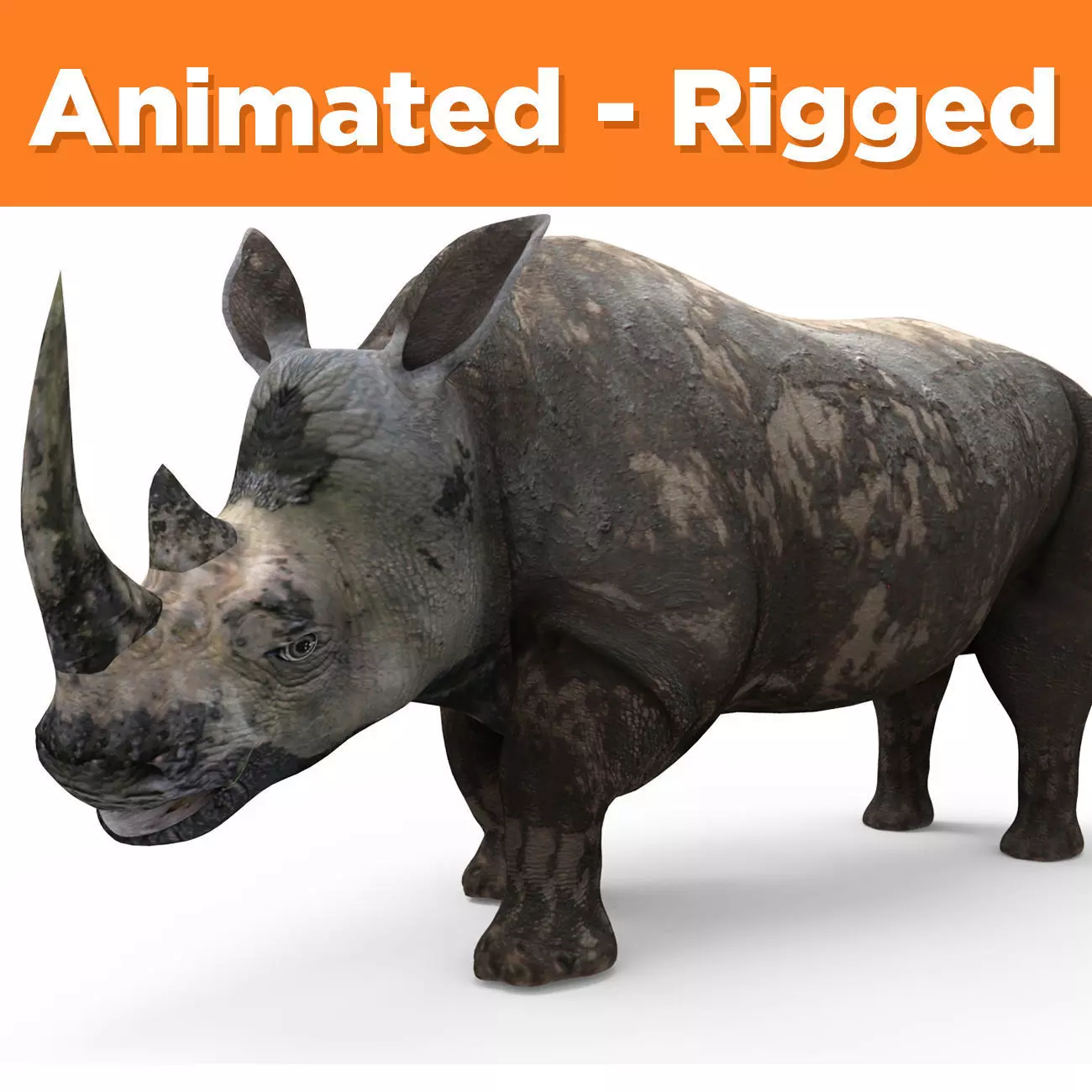 Dirty Realistic Rhino Rigged and animated 3D Model Low-poly 3D model_0