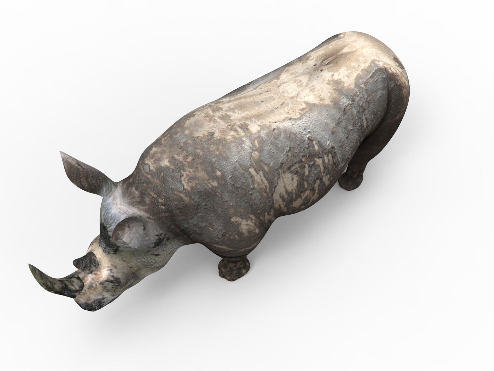 Dirty Realistic Rhino Rigged and animated 3D Model Low-poly 3D model_4